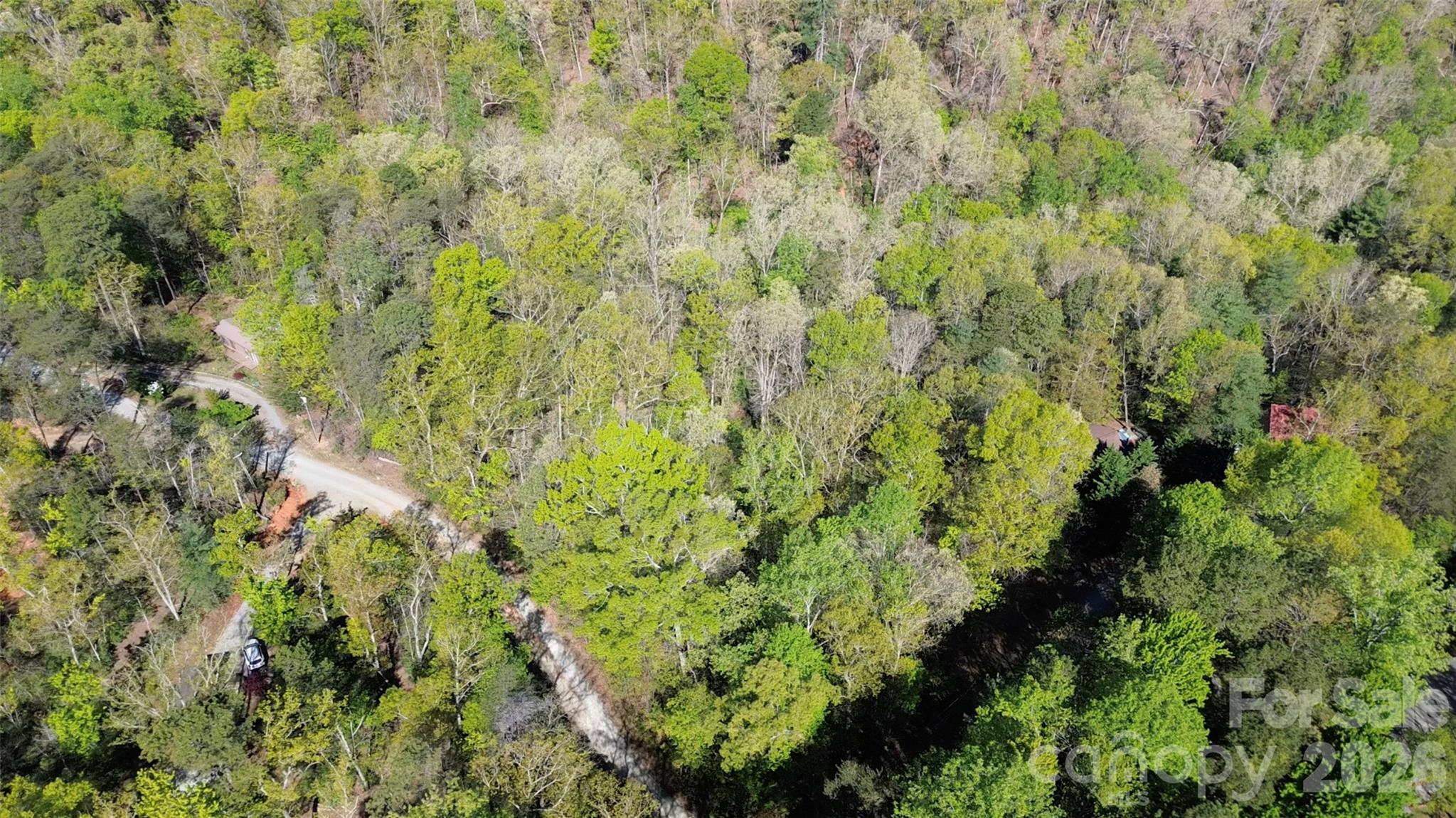 Land in Lake Lure 4