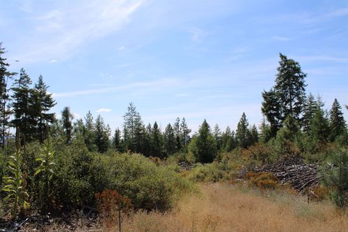 xxx Ellery Ranch Rd, Elk, WA, 99009 | Card Image