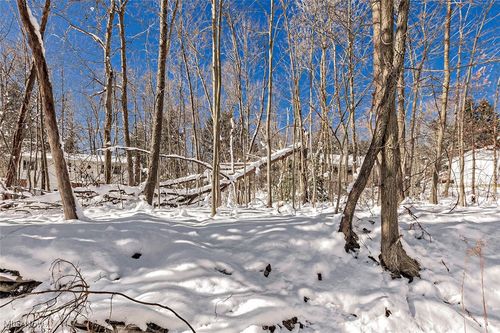 17 Chillicothe Road, Chagrin Falls, OH, 44023 | Card Image