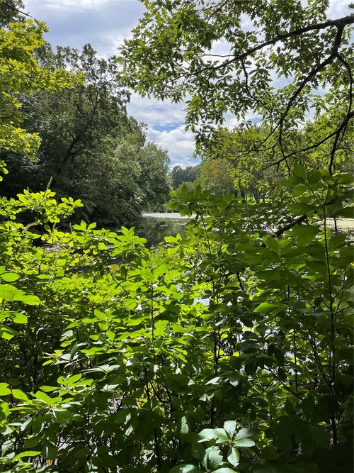 no numer Cleft Rd, Mill Neck, NY, 11765 | Card Image