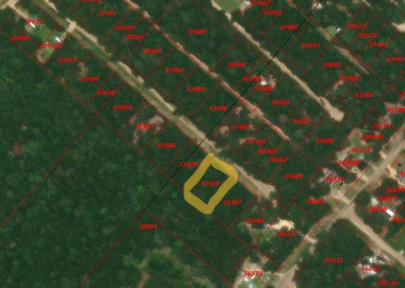Land in Livingston