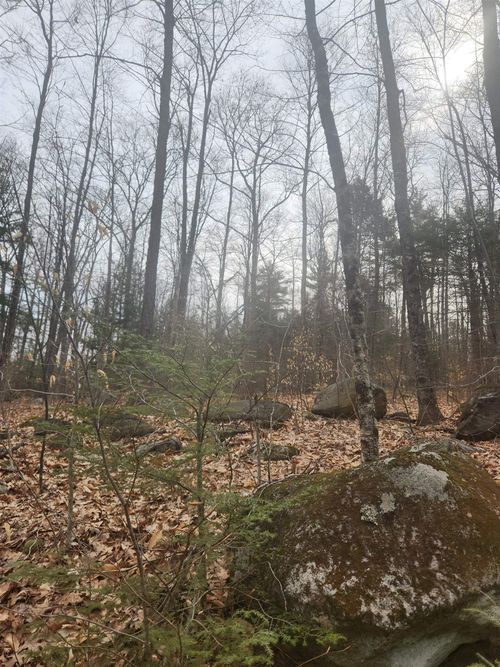 0 Attleboro Mountain Road, Richmond, NH, 03470 | Card Image