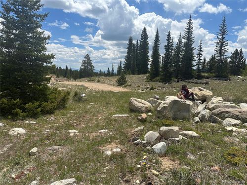 4 Timberline Trl, Fairplay, CO, 80440 | Card Image