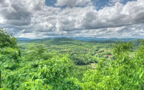 Lot 1 High Country Ln, Morganton, GA, 30560-3938 | Card Image