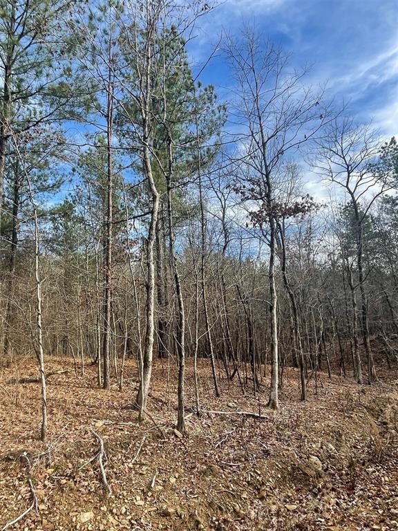 Land in Broken Bow