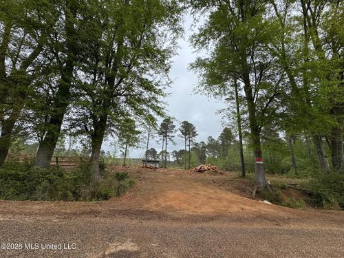 Lot 6 Dinan Salem Rd, Tylertown, MS, 39667-5926 | Card Image