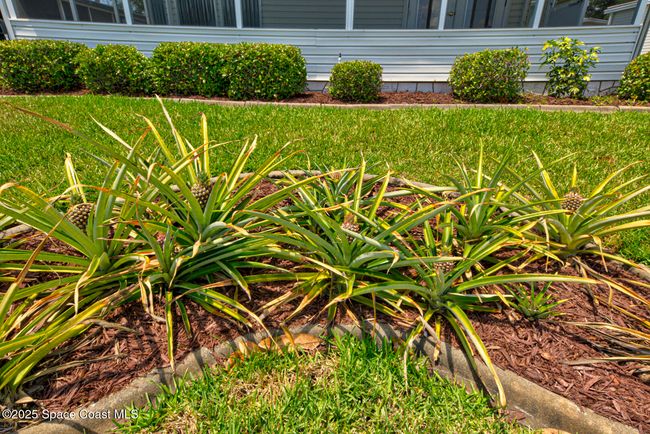 27 - 118 Aquarius Ter, House other with 2 bedrooms, 2 bathrooms and null parking in Cocoa FL | Image 35