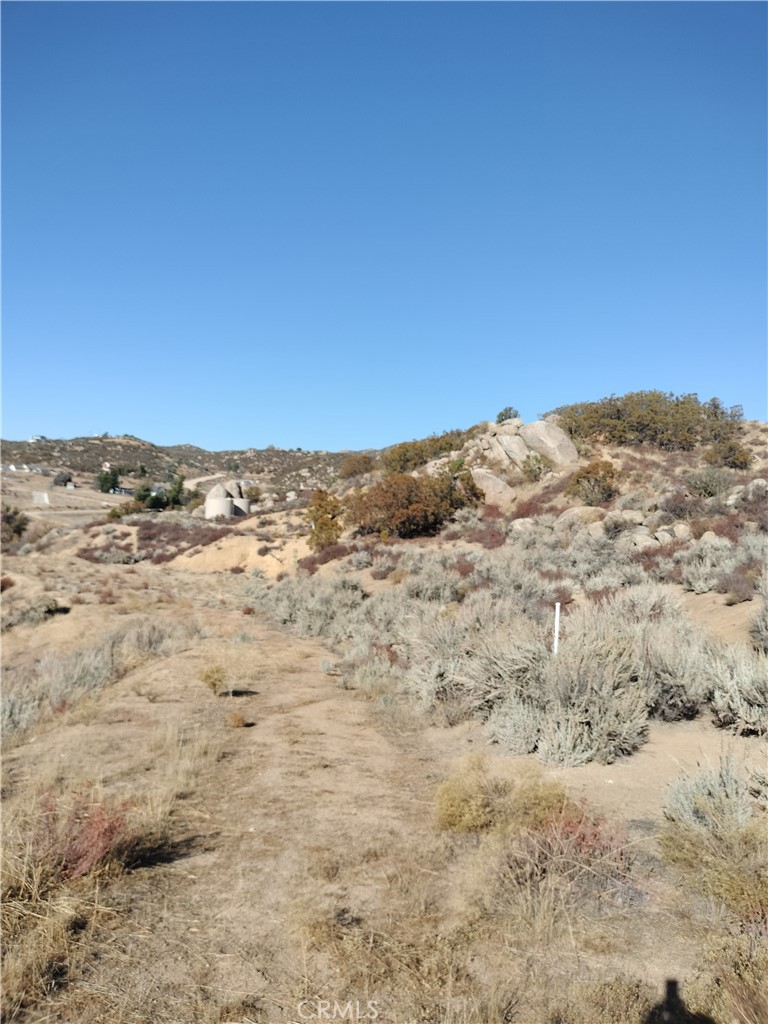 Picture 13