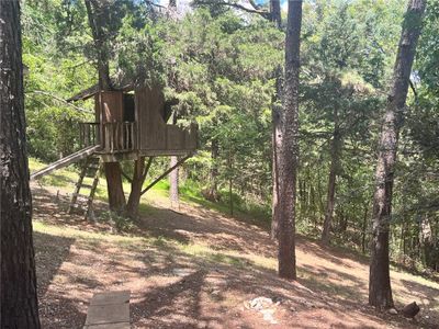 Treehouse for the grandkids | Image 2