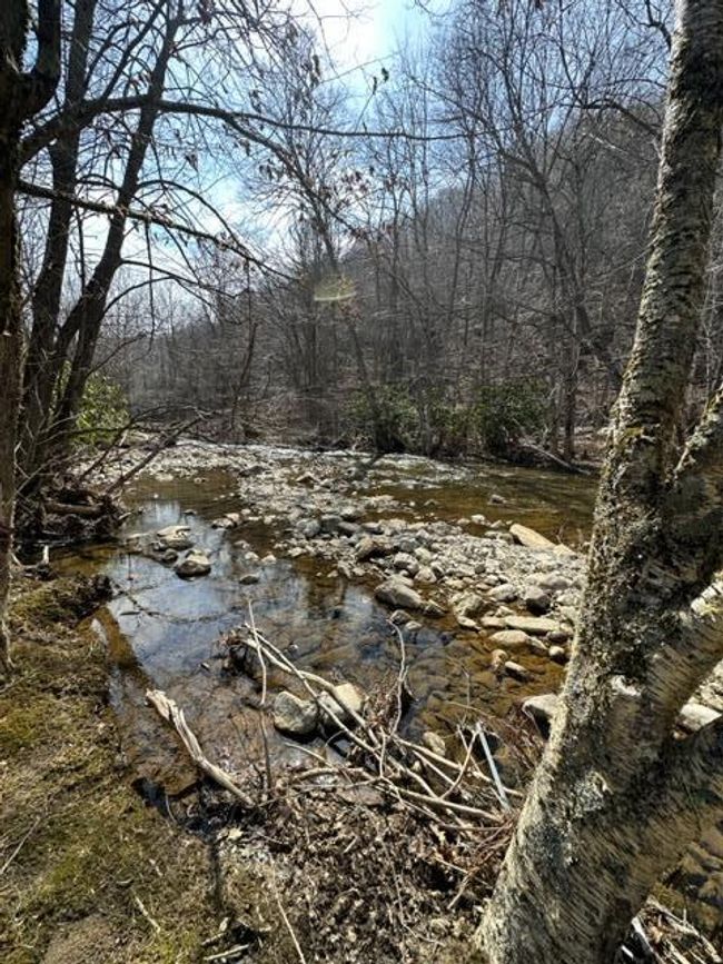267 Sturgills Rd, House other with 3 bedrooms, 3 bathrooms and null parking in Mouth of Wilson VA | Image 74