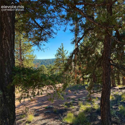 31 Pike View Cir, Divide, CO, 80814-8615 | Card Image