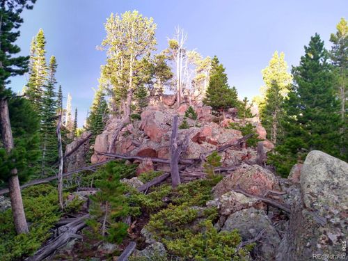 3765 Forest Rd, Red Feather Lakes, CO, 80545 | Card Image