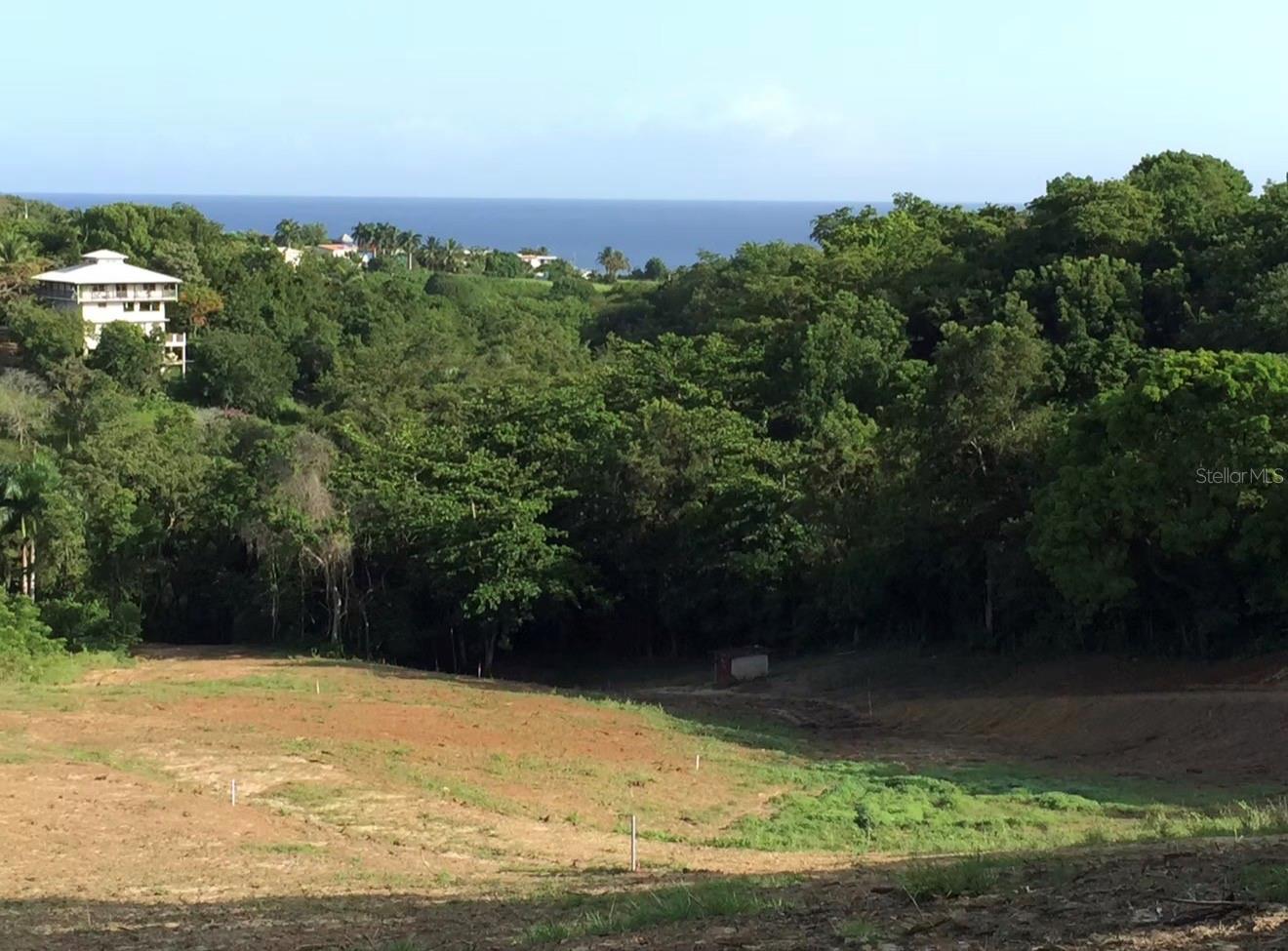Land en venta en RINCON, 413 CUCHILLO BARRIO PUNTAS