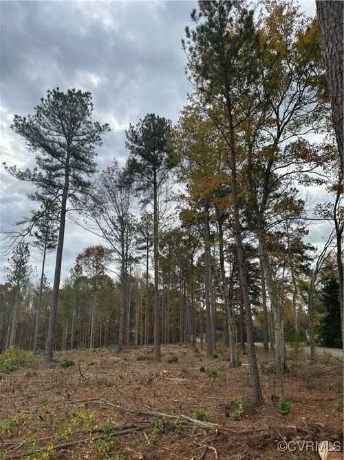 0 Amelia Springs Rd, Jetersville, VA, 23083 | Card Image