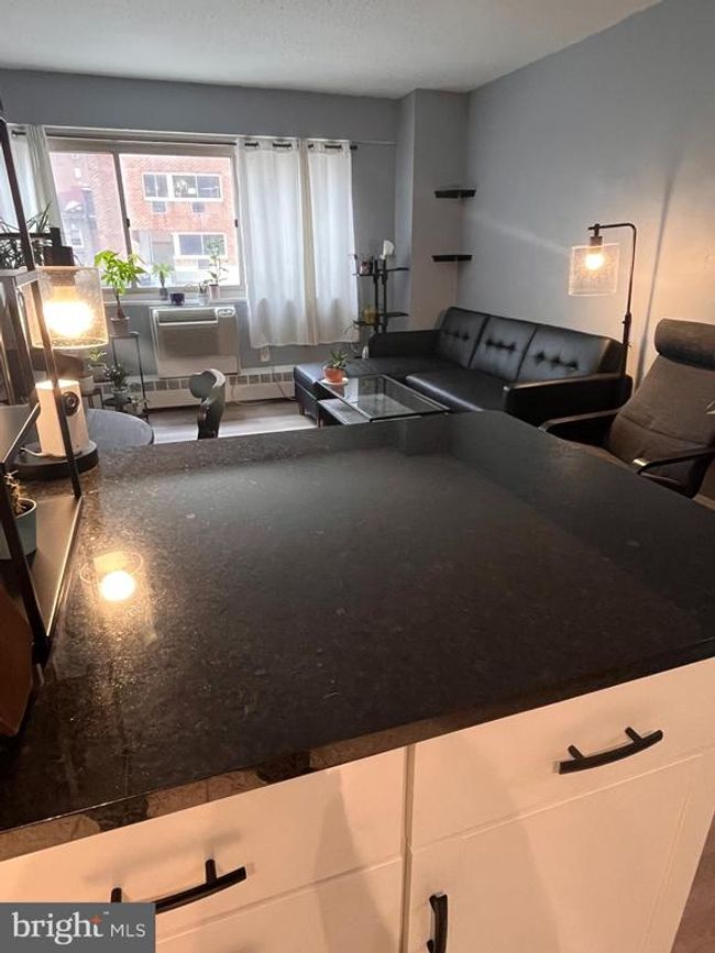 UNIT-319 - 2101 Chestnut St, Condo with 1 bedrooms, 1 bathrooms and null parking in PHILADELPHIA PA | Image 4
