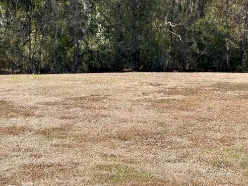 532 Clifford Ct, Westwego, LA, 70094-5516 | Card Image