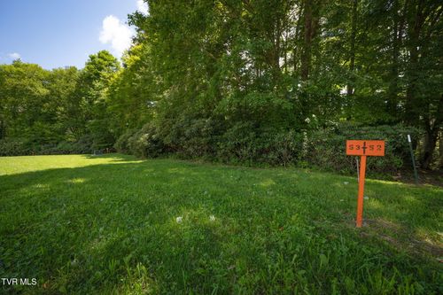1764 Ripshin Mountain Rd, Roan Mountain, TN, 37687-3758 | Card Image