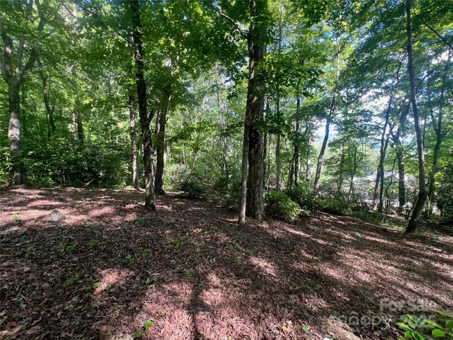 1110 Timberbluff Way, Home with 0 bedrooms, 0 bathrooms and null parking in Arden NC | Image 9
