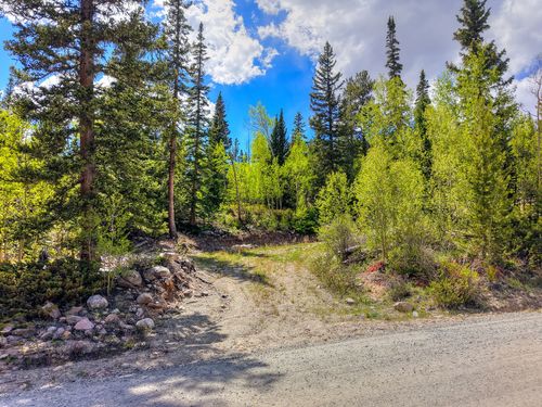 253 Mine Dump Rd, ALMA, CO, 80420 | Card Image