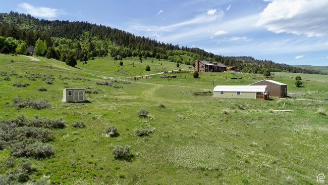 View of rural area featuring a forest and a pastoral area | Image 14
