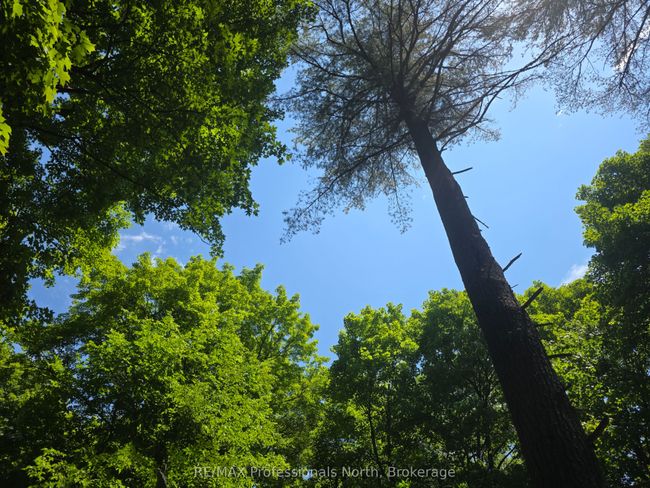 1134 Walker Line Rd, Home with 0 bedrooms, 0 bathrooms and null parking in Algonquin Highlands ON | Image 17