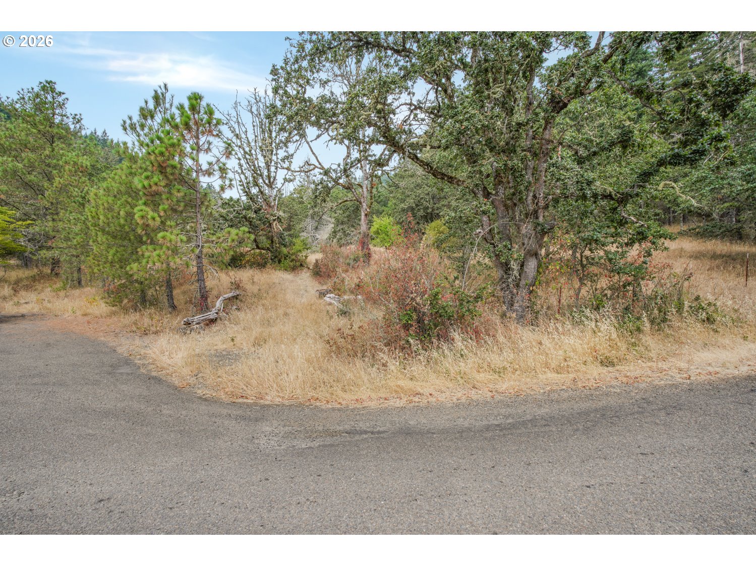 Land in Brownsville 5