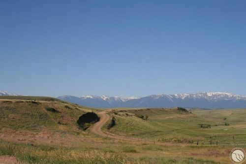 LOT 41 Crow Child Trail, Absarokee, MT, 59001 | Card Image