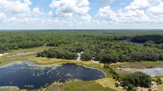 111 Penny Acres Ln, House other with 3 bedrooms, 2 bathrooms and null parking in Welaka FL | Image 48
