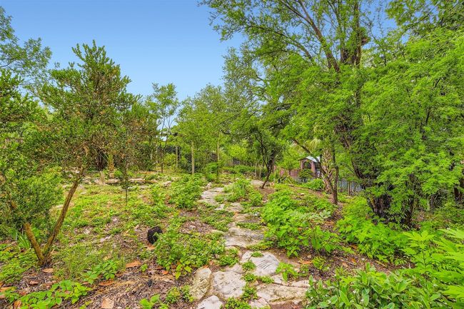 View of local wilderness | Image 31