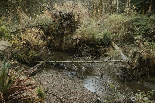 170 Sportsman Club Rd, Forks, WA, 98331-9186 | Card Image