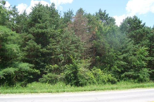 V/L North Branch Road, North Branch Township, MI, 48461 | Card Image