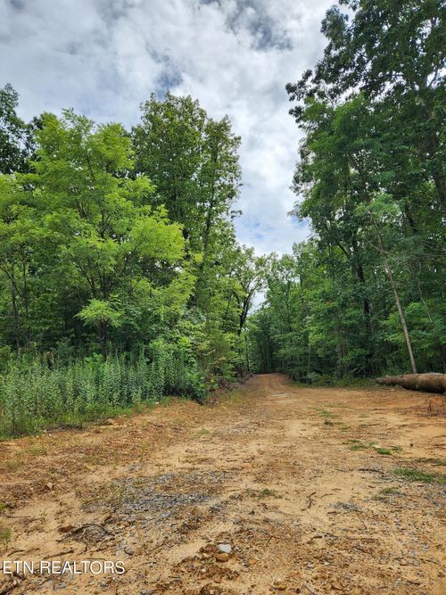 12 Coker Creek Trail, Tellico Plains, TN, 37385 | Card Image