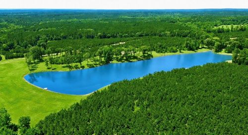 TBD County Road 2125, Crockett, TX, 75835 | Card Image