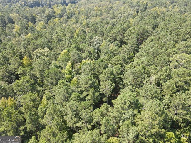 LOTT 22 Apalachee Woods Dr, Home with 0 bedrooms, 0 bathrooms and null parking in Buckhead GA | Image 8