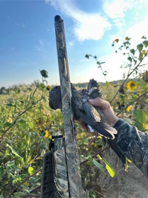 NA County Road 3660, Ladonia, TX, 75449 | Card Image