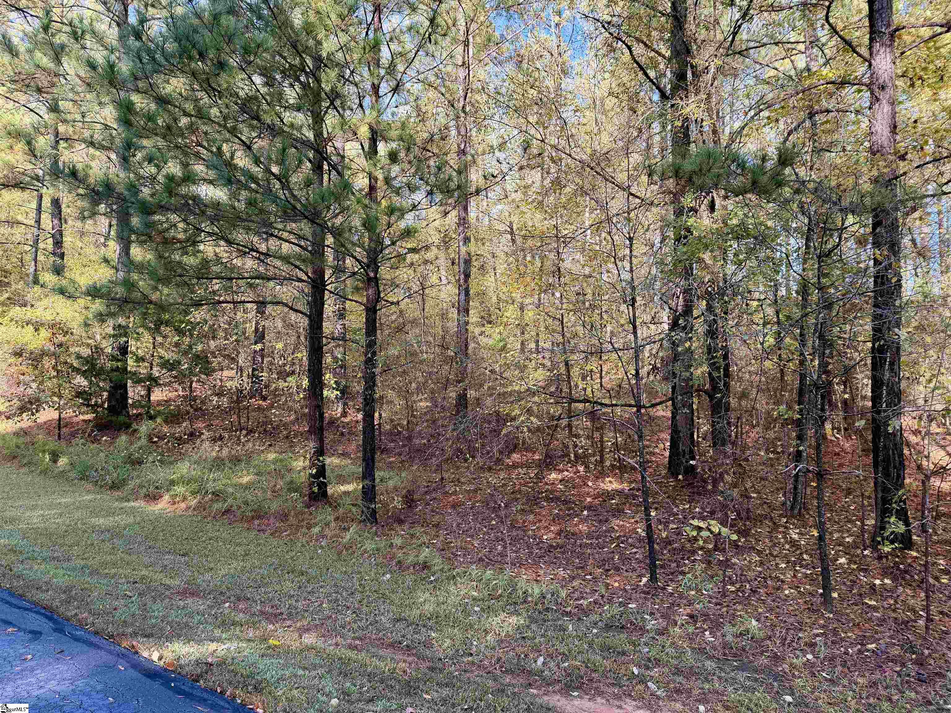 Land in Cross Hill 2