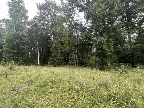 4 Toms Creek Lake Rd, Linden, TN, 37096 | Card Image