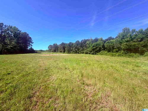 1-0 Hidden Lake Dr, Empire, AL, 35063 | Card Image