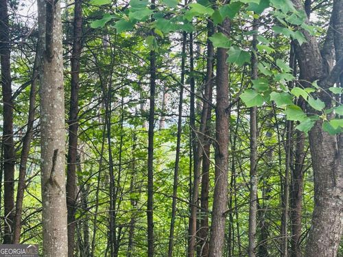 LOT 28 Crown Mountain Way, Dahlonega, GA, 30533 | Card Image