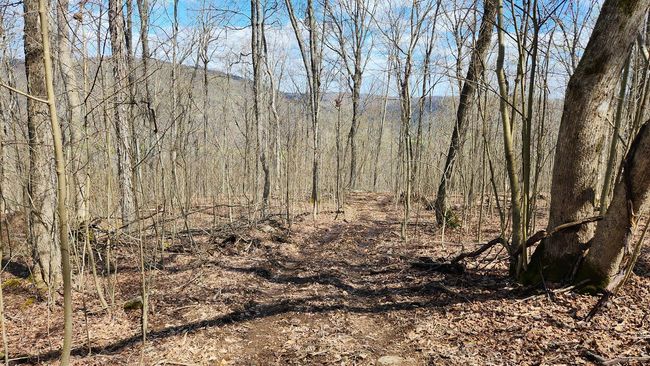 TRACT-1-PIKE-LAKE-GETAWA - 0 Pike Lake Rd, Home with 0 bedrooms, 0 bathrooms and null parking in Bainbridge OH | Image 33