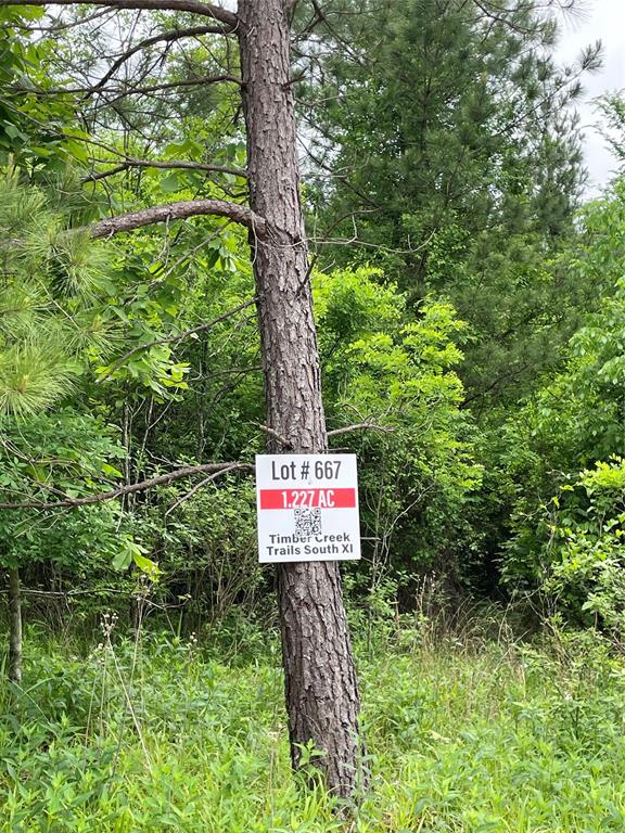 Land in Broken Bow