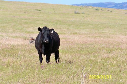 TBD Indian Valley Road, Indian Valley, ID, 83632 | Card Image