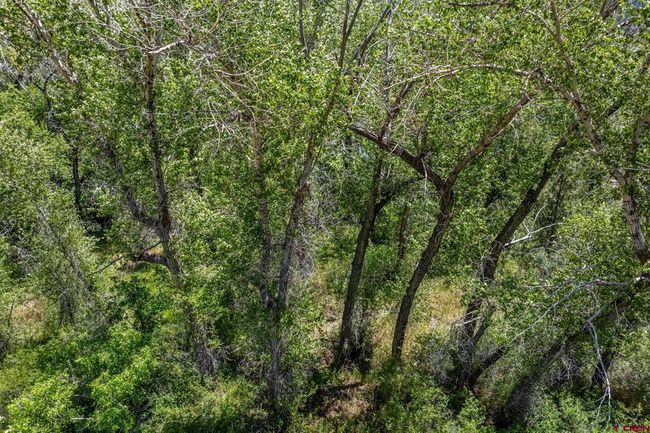 1110 Animas View Dr, Home with 0 bedrooms, 0 bathrooms and null parking in Durango CO | Image 28