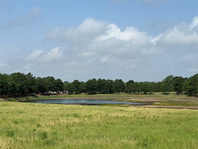 Circle D fishing lake 2 of 2 | Image 40