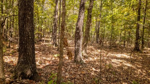 000 County Road 9640, Koshkonong, MO, 65692 | Card Image