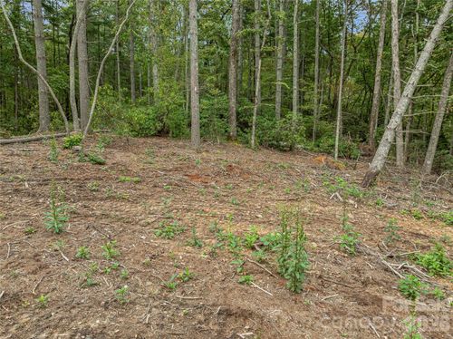 15-99999 Merriwood Trl, Arden, NC, 28704 | Card Image