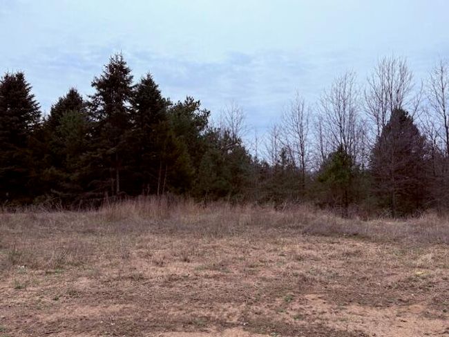 1361 Journeys Way, House other with 3 bedrooms, 3 bathrooms and null parking in Hastings MI | Image 5