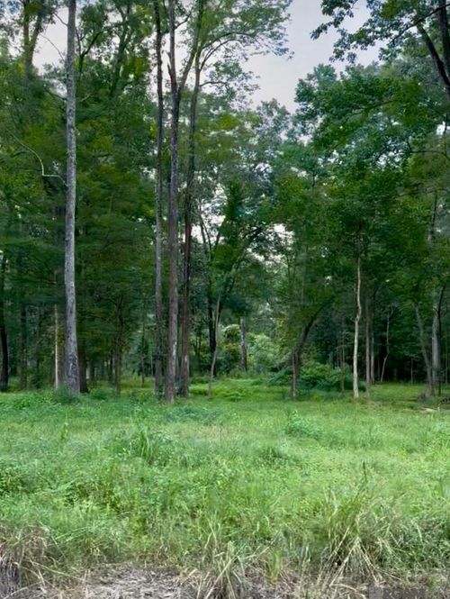 LOT A-1-A Lemon Rd, Slaughter, LA, 70777 | Card Image
