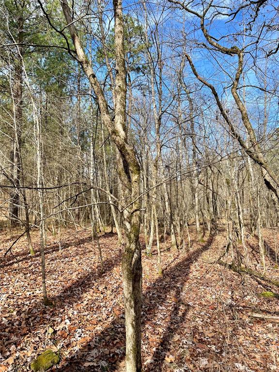 Land in Broken Bow 4