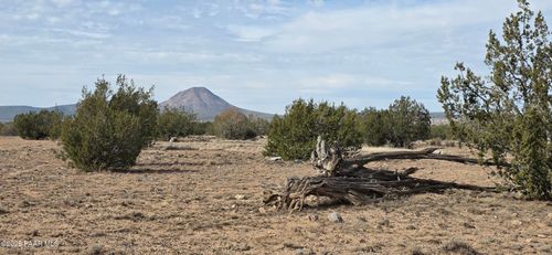 245 W Antelope Run Rd, Ash Fork, AZ, 86320 | Card Image